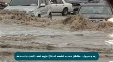 رعد وسيول.. مناطق محددة تشهد أمطارًا غزيرة تهدد الأمن والسلامة
